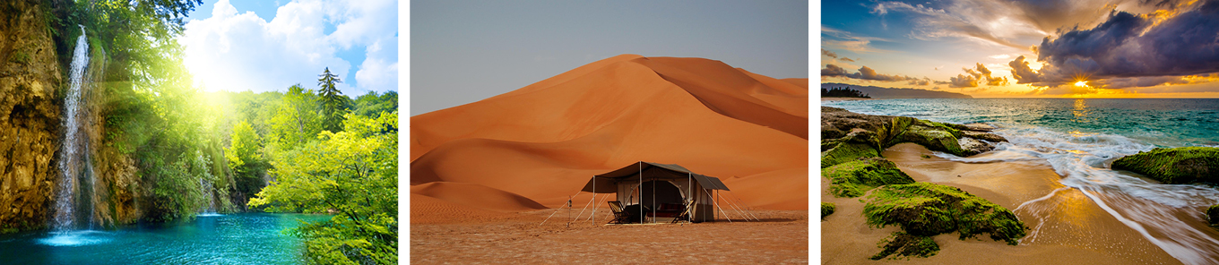 Environmental Policy